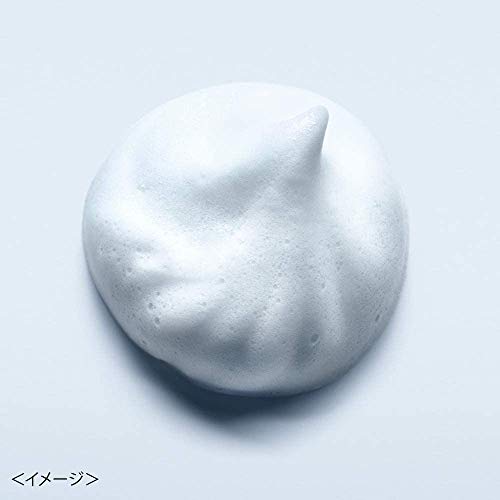 ビューティクリア パウダーウォッシュN 洗顔 洗顔パウダー 0.4g×32個