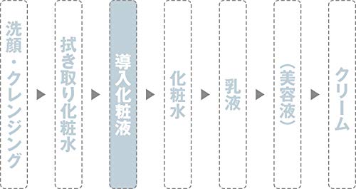 導入化粧液 化粧水 400ml