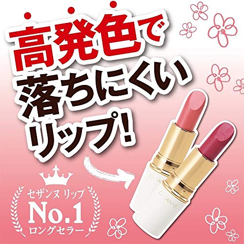 ラスティング リップカラーN 105 ブラウン系