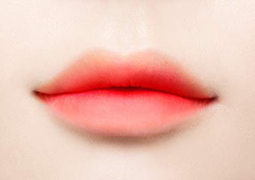 インク ザ エアリー ベルベット 8g (#2 Pretty Orange Pink)