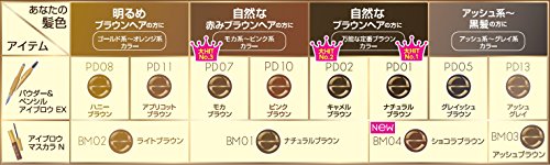 パウダー&ペンシルアイブロウEX PD01 ナチュラルブラウン