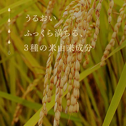 ルルルンプレシャスRED 濃密保湿タイプ(32枚入り)