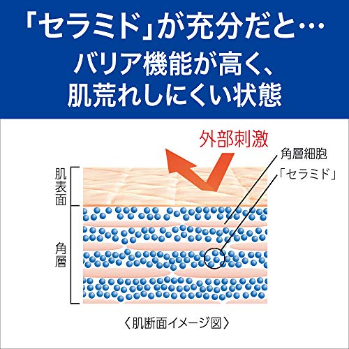 リップケアバーム 4.2g